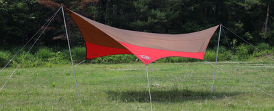 clasic hexa.jpg