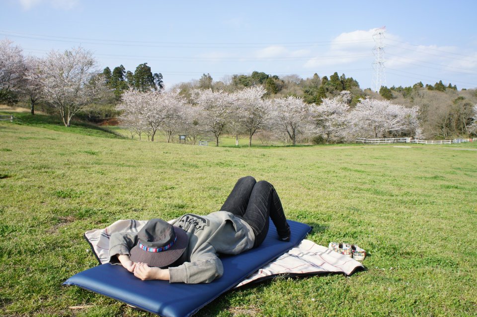 桜キャンプがしたい。。。