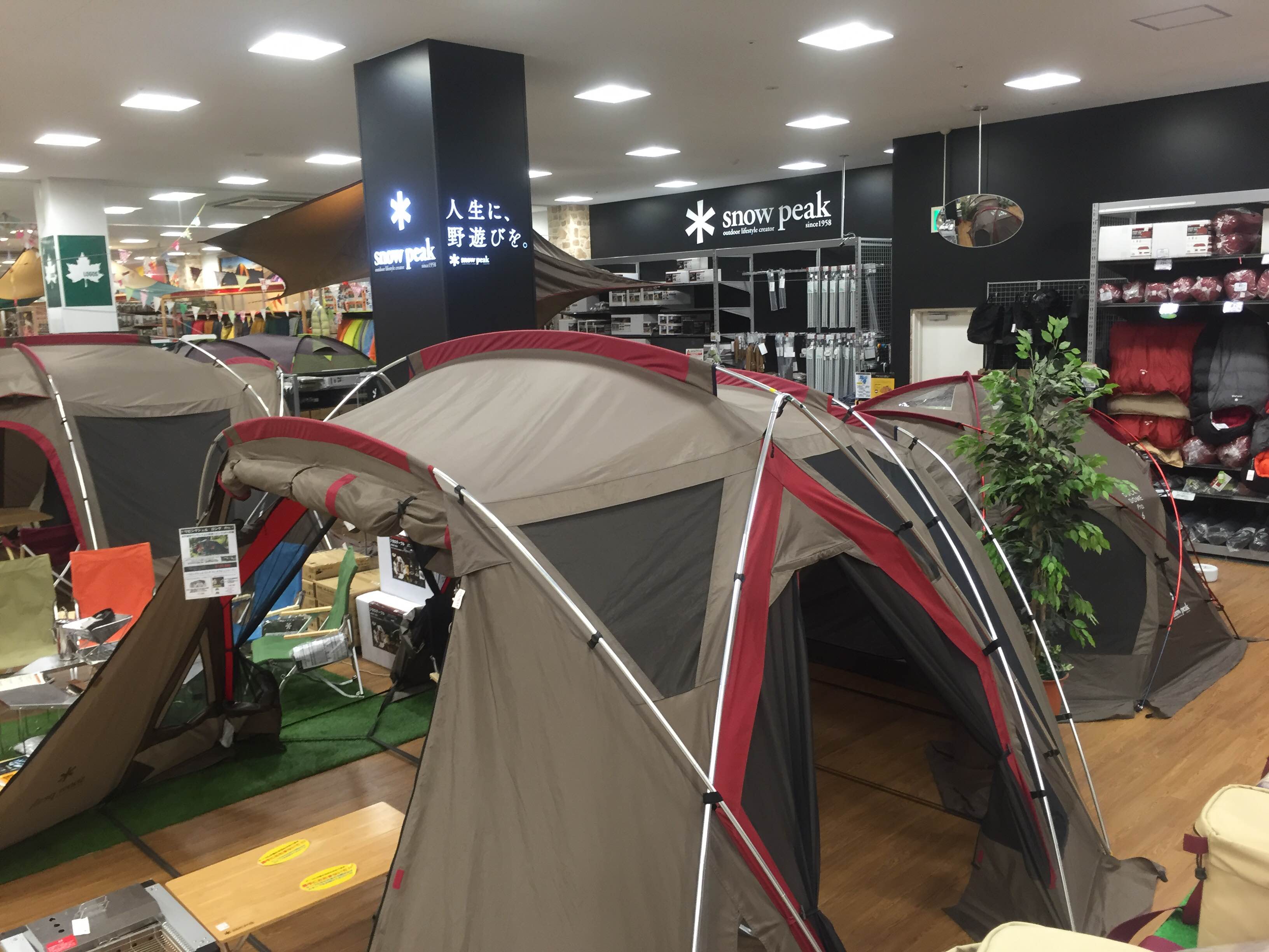 店内展示のお知らせ