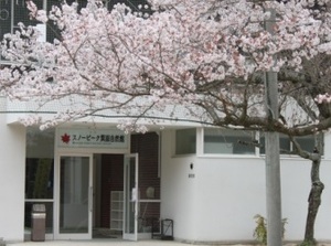 20110415IMG_8254.jpg