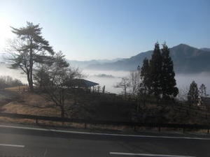 CIMG8227.jpg