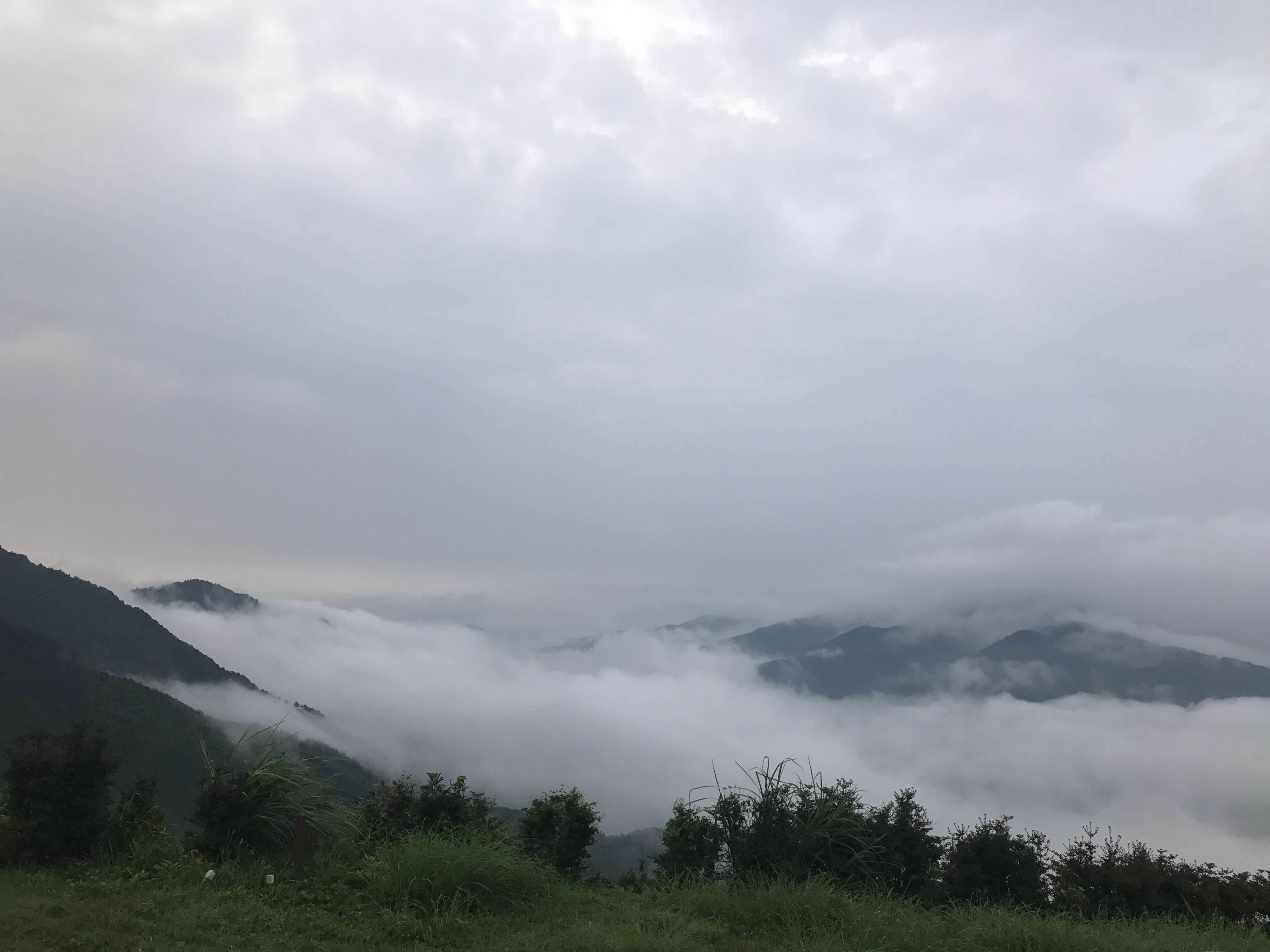 そうだ！雲海を見にキャンプ行こう!!!