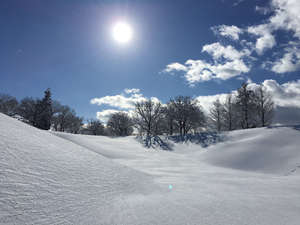 冬景色①.JPG