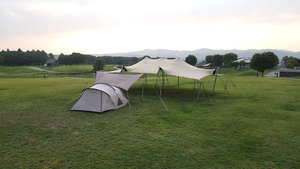 Image (85).jpeg