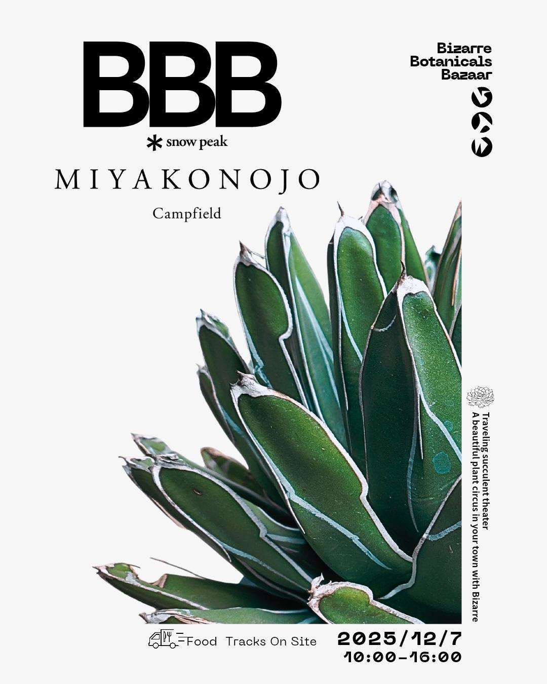 12/7 BBB 〜奇妙なボタニカルバザー〜