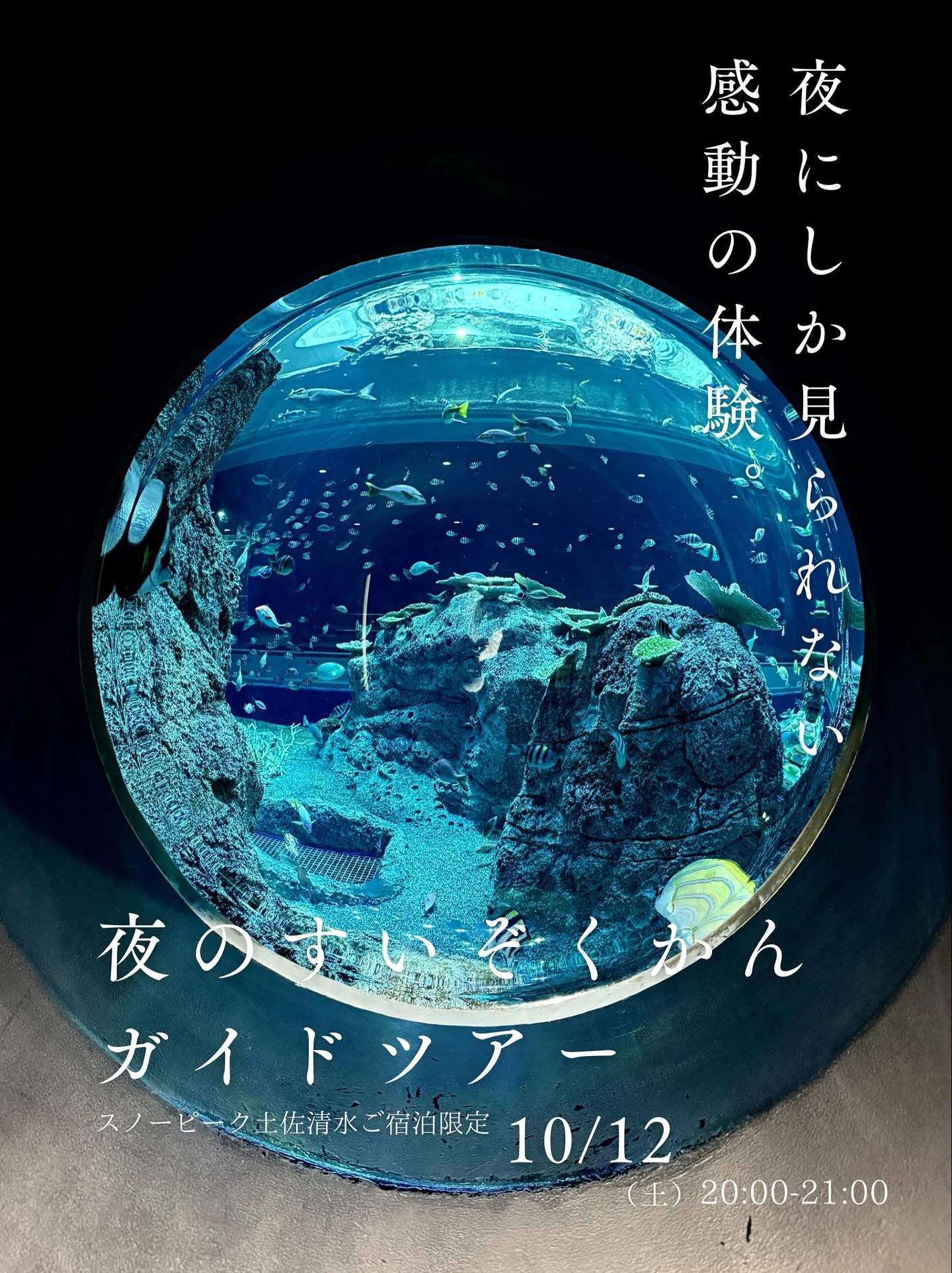 ▶ SATOUMI夜のすいぞくかんガイドツアー！