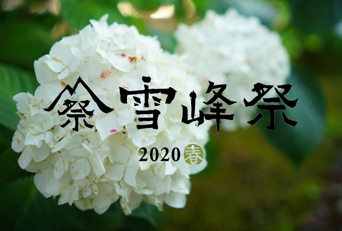 ＊ 雪峰祭2020 - 春 - ＊