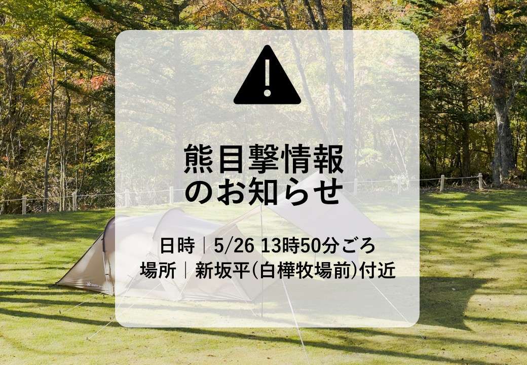 【2026年5月26日】熊目撃情報について